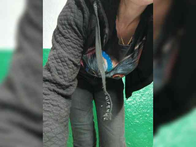 pevicha