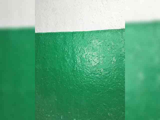 pevicha