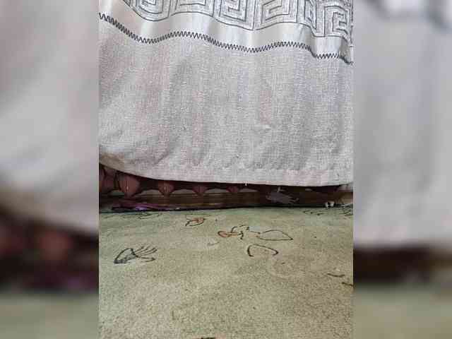 Kotenochek_sexy_kisa's cam show statistics and live stream