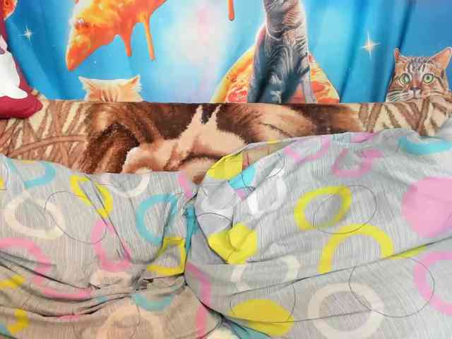 KOTENOCHEK_SEXY_KISA webcam