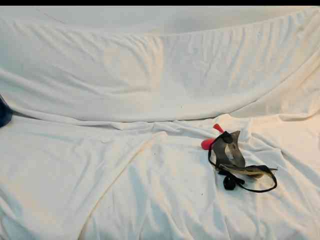 IsraelyGirl webcam