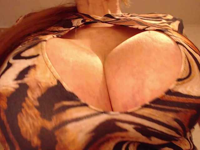wikigold live cam on BongaCams