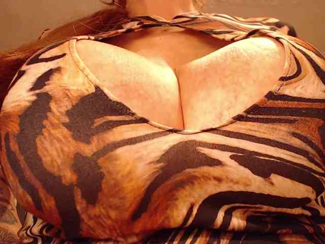 VI_KA webcam