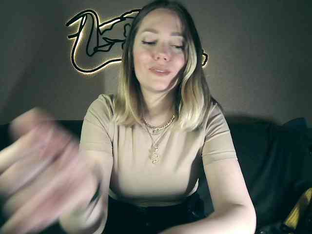 Fragor webcam