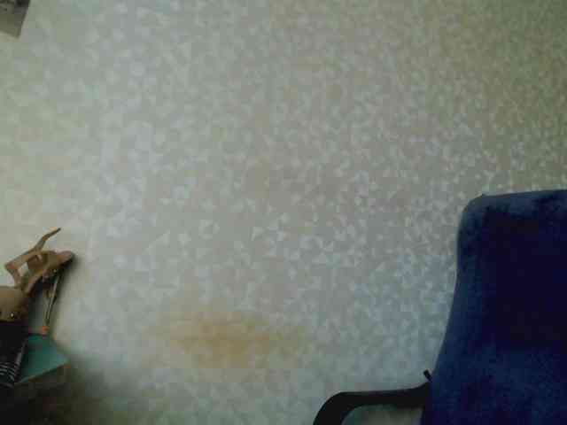 Missforkisss webcam