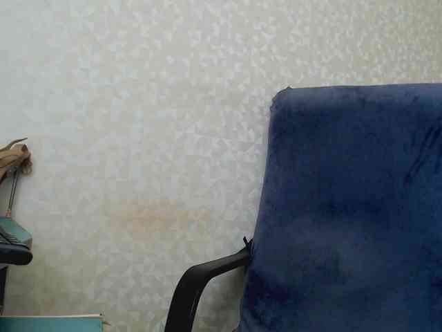 Missforkisss webcam