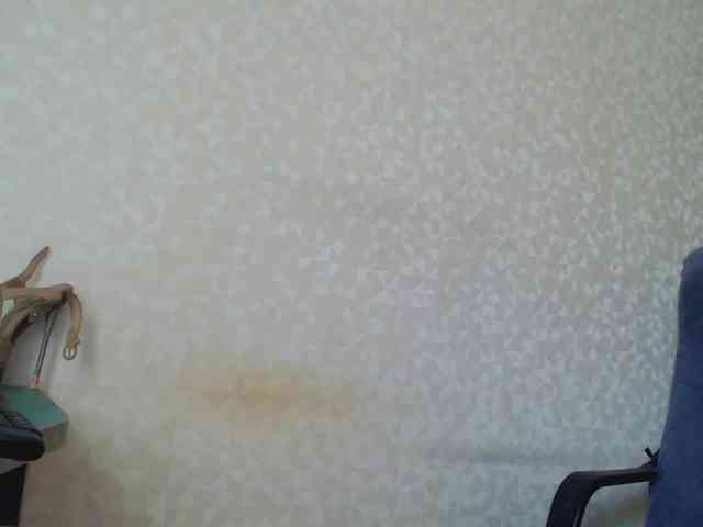 Missforkisss webcam