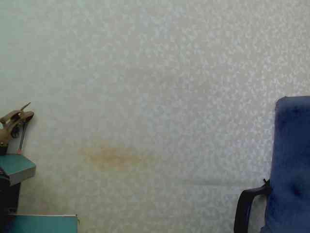 Missforkisss webcam