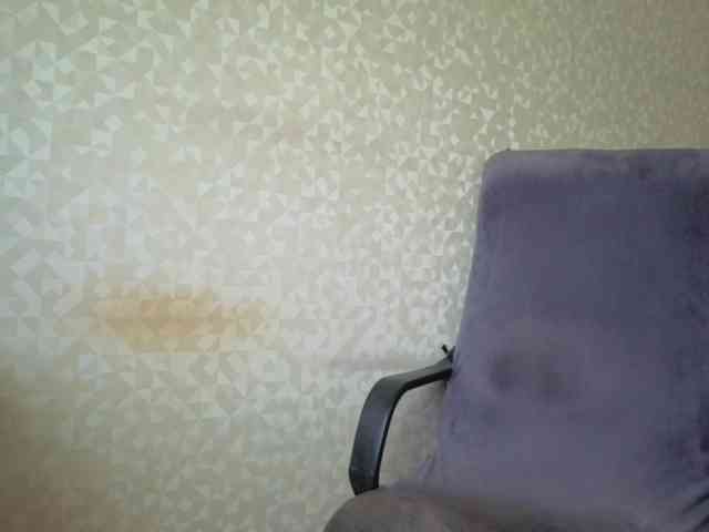 Missforkisss webcam