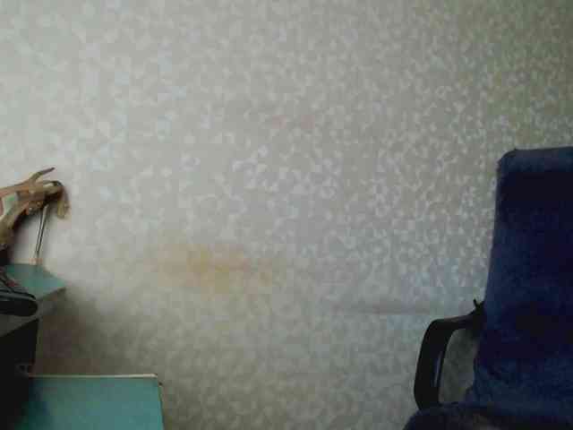 Missforkisss webcam