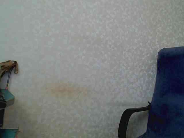 Missforkisss webcam