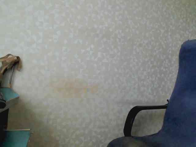 Missforkisss webcam