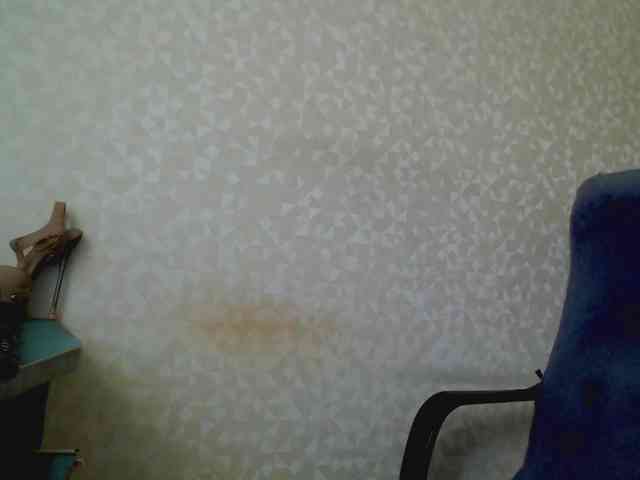Missforkisss webcam