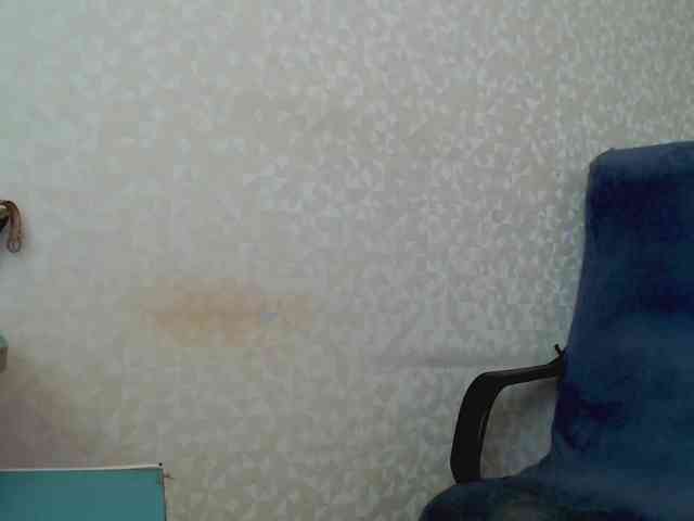 Missforkisss webcam