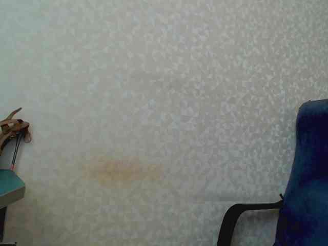 Missforkisss webcam