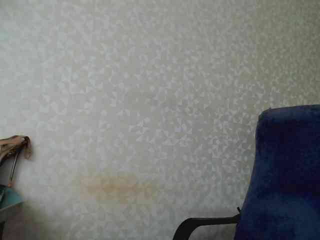 Missforkisss webcam