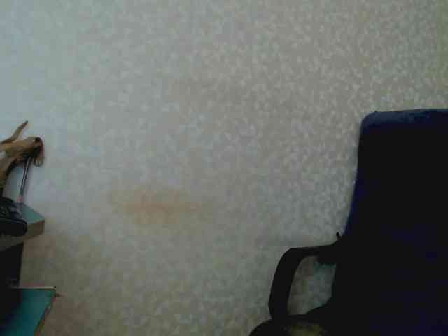 Missforkisss webcam