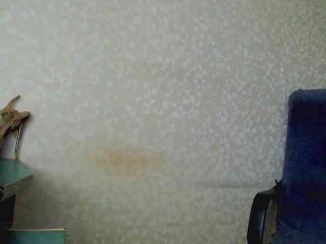 Missforkisss webcam