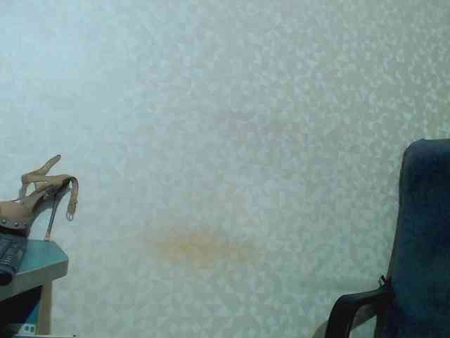 Missforkisss webcam