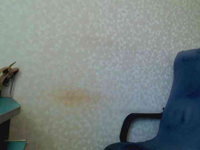 Missforkisss webcam