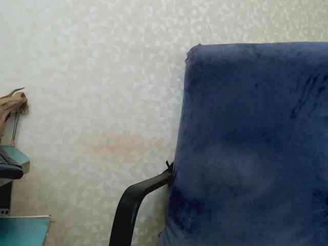 Missforkisss webcam