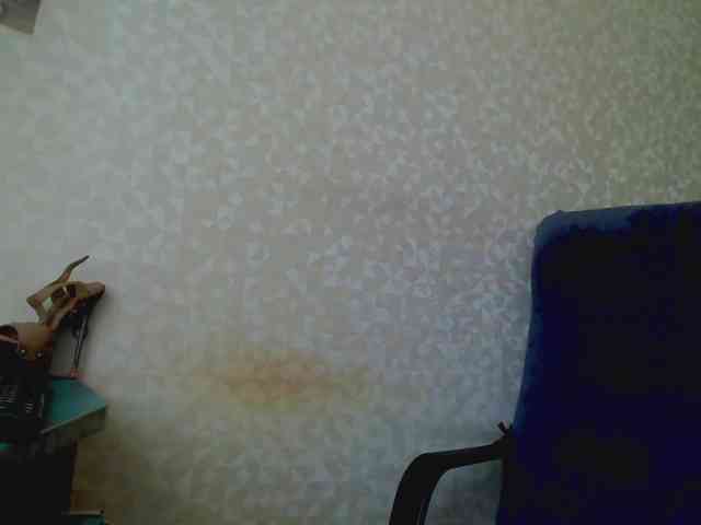 Missforkisss webcam