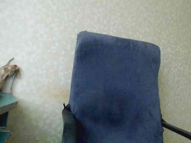 Missforkisss webcam