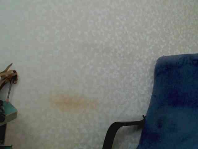 Missforkisss webcam