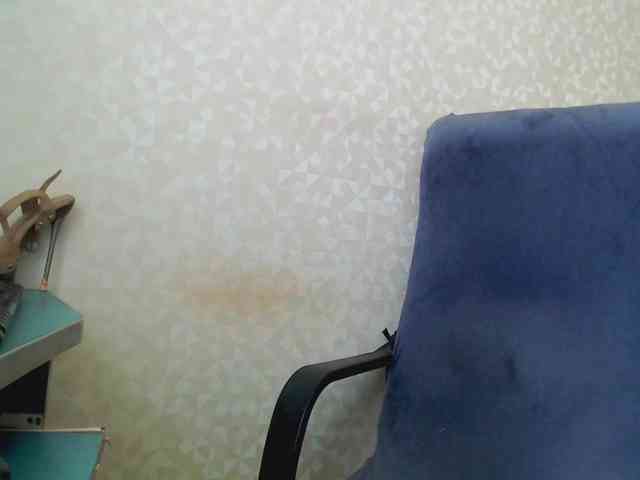 Missforkisss webcam