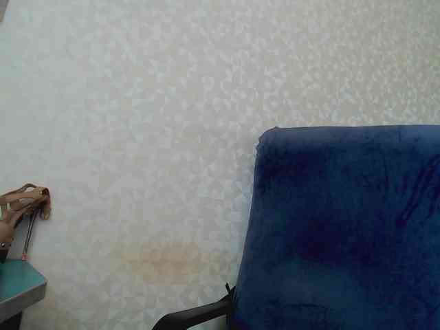 Missforkisss webcam