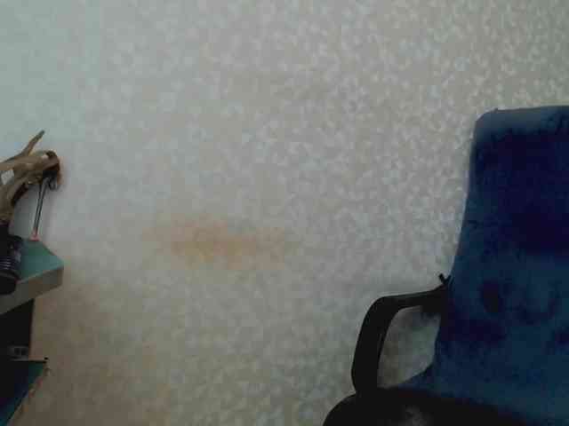 Missforkisss webcam