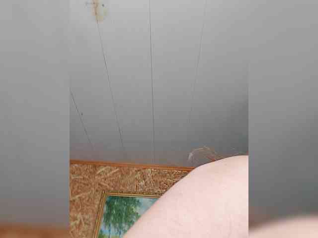 -Your_dream- webcam