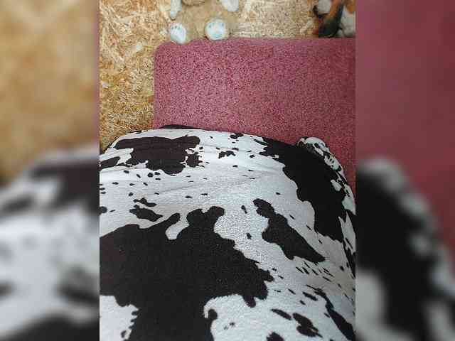 milli1983