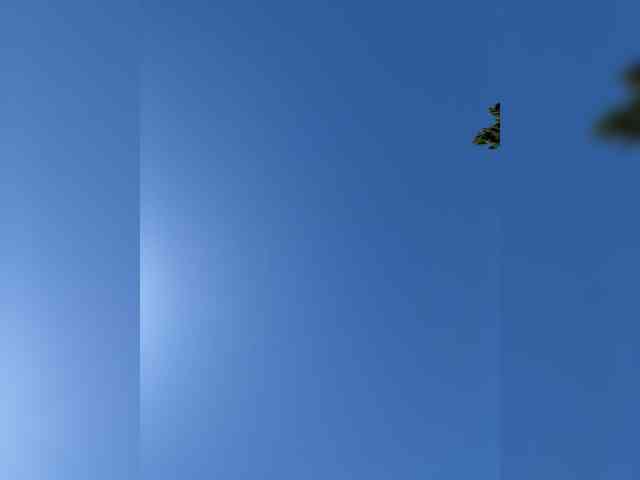 PrurientGem webcam