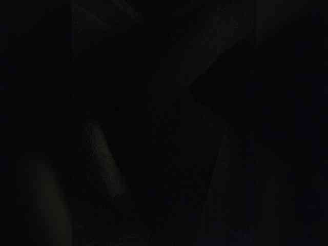 Prurient-Gem