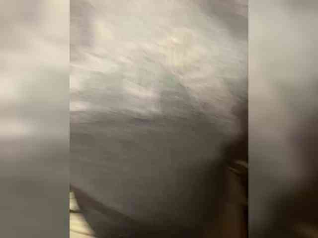 PrurientGem webcam