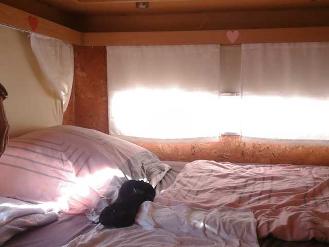 illymaus live cam on BongaCams