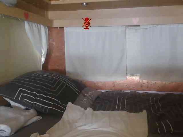 illymaus webcam