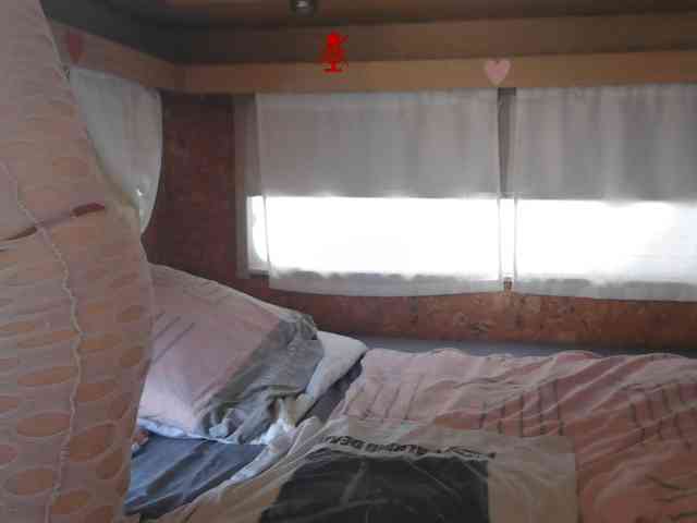 illymaus webcam