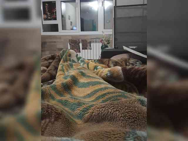 Stasyabravo21 - Girl 