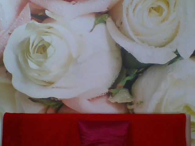 yakameliya live webcam show