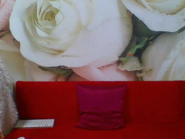 yakameliya live cam on BongaCams