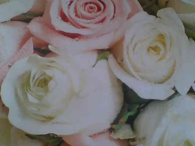 Beatris-K webcam