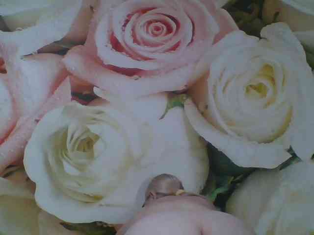 Beatris-K webcam
