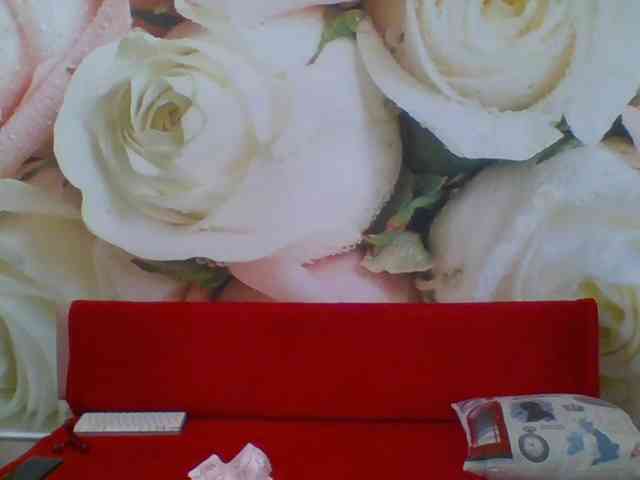 Beatris-K webcam