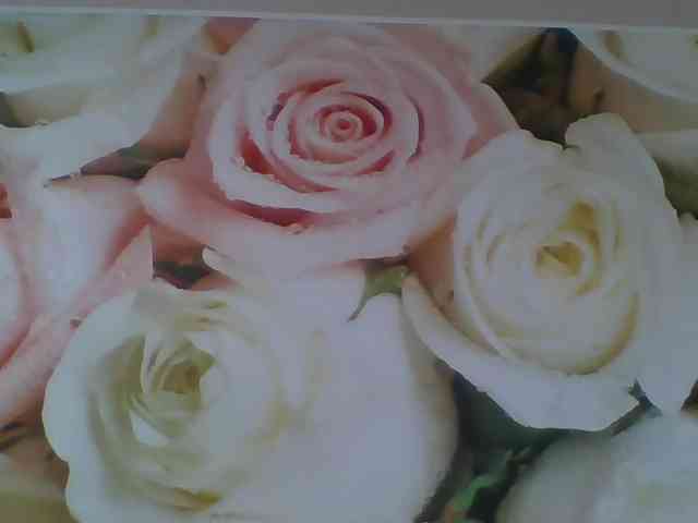 Beatris-K webcam