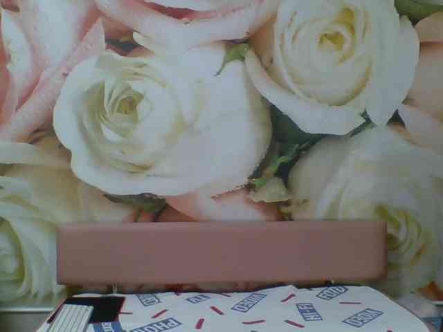 Beatris-K webcam