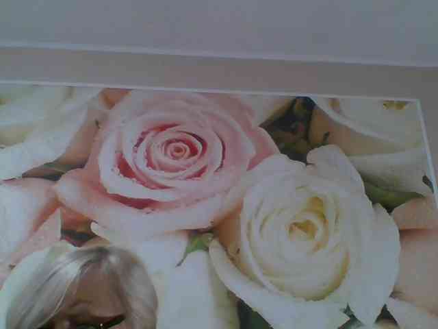 Beatris-K webcam