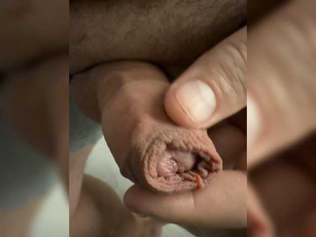 cocksox