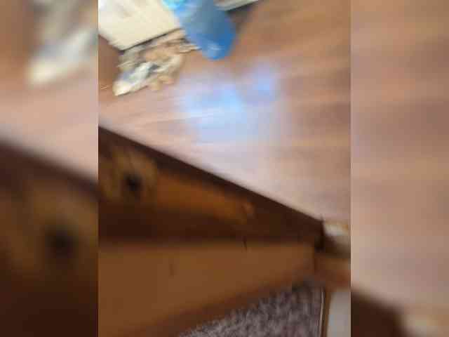 cocksox Sex Cam Show